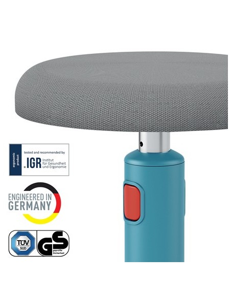Leitz Ergo Cosy Active Seduta imbottita