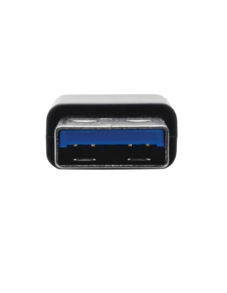 Tripp Lite U336-000-R scheda di interfaccia e adattatore