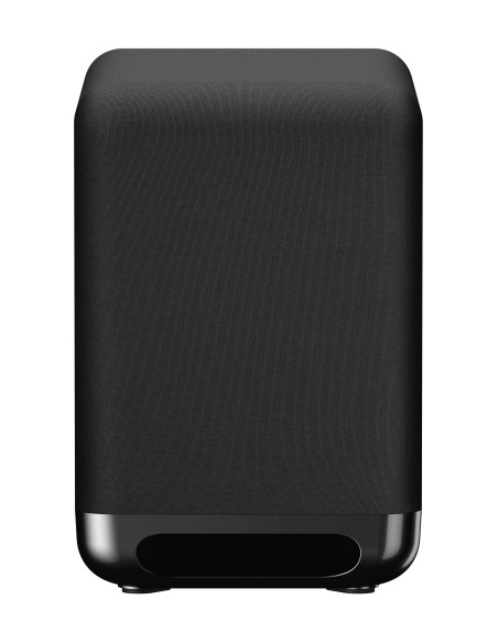 Sony SA-SW5 Subwoofer premium, 300W, Nero