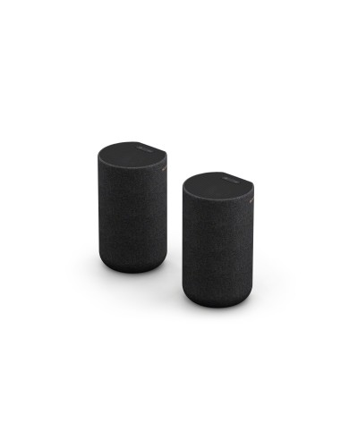 Sony Speaker posteriore wireless con batteria integrata