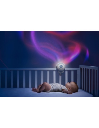 Chicco First Dreams Polar Bear luce da notte per bambino Libera installazione Rosa, Bianco