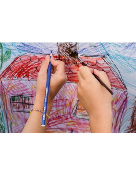 STABILO Aquacolor Multicolore 12 pz