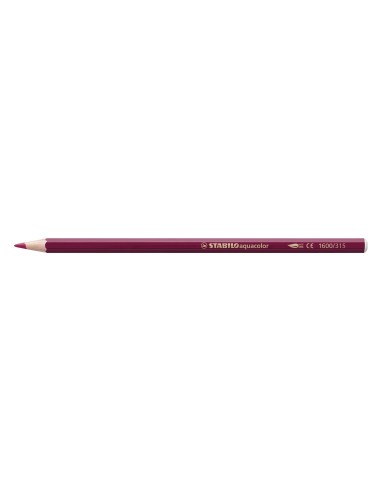 STABILO aquacolor ARTY Multicolore 24 pz