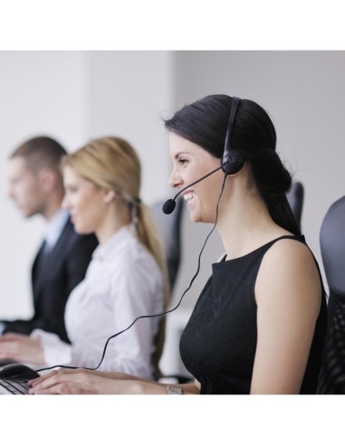 Vultech Cuffie Headset USB Con Microfono