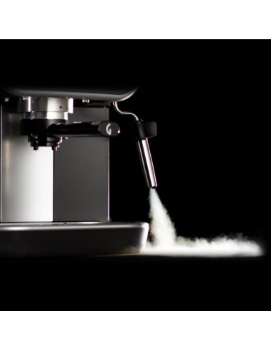 Gaggia Macchina da caffè manuale Carezza Deluxe