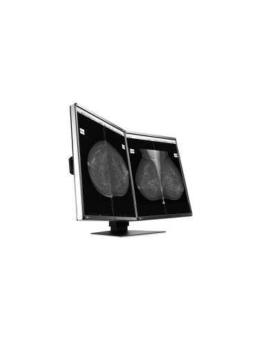 EIZO RadiForce GX560-MD Monitor PC 54,1 cm (21.3") 2048 x 2560 Pixel LCD Nero