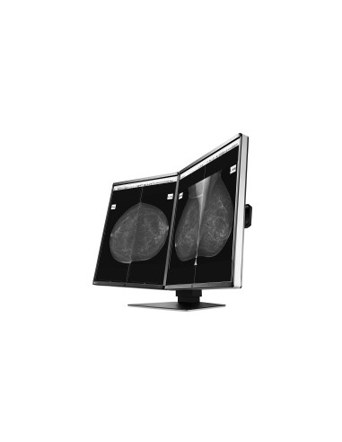 EIZO RadiForce GX560-MD Monitor PC 54,1 cm (21.3") 2048 x 2560 Pixel LCD Nero