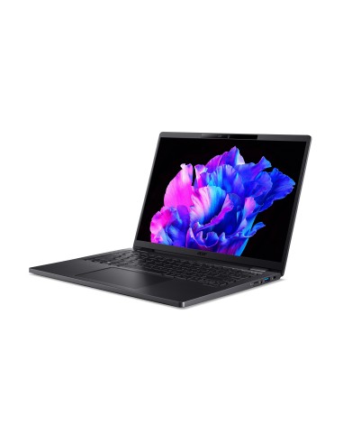 Acer TravelMate P6 TMP614P-53-TCO-71H0 Computer portatile 35,6 cm (14") WUXGA Intel® Core™ i7 i7-1355U 16 GB DDR5-SDRAM 1 TB