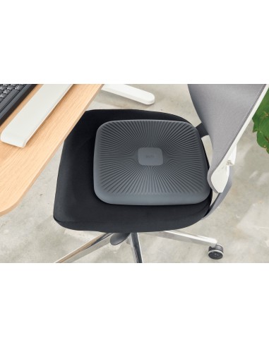 Leitz 65390089 allenamento di equilibrio Cuscino per equilibrio Grigio