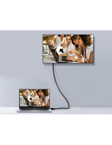 Equip 119333 cavo DisplayPort 3 m Nero