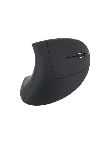 Equip 245110 mouse Mano destra RF Wireless Ottico 1600 DPI