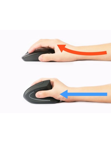 Equip 245110 mouse Mano destra RF Wireless Ottico 1600 DPI