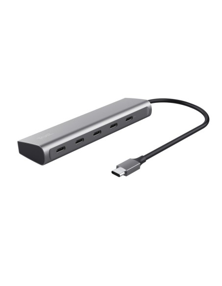 Trust Halyx USB 3.2 Gen 1 (3.1 Gen 1) Type-C Argento