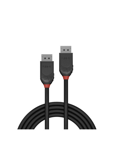 Lindy 36490 cavo DisplayPort 0,5 m Nero