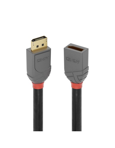 Lindy 36497 cavo DisplayPort 2 m Nero