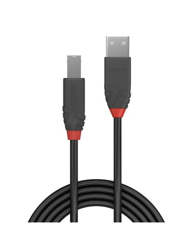 Lindy 36670 cavo USB 0,2 m USB 2.0 USB A USB B Nero, Grigio