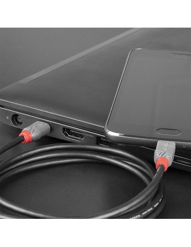 Lindy 36891 cavo USB 1 m USB 2.0 USB C Micro-USB B Nero, Grigio