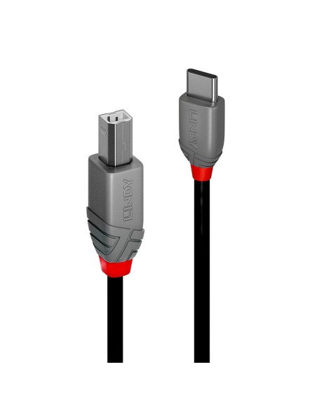 Lindy 36941 cavo USB 1 m USB 2.0 USB C USB B Nero