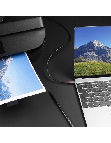 Lindy 36941 cavo USB 1 m USB 2.0 USB C USB B Nero