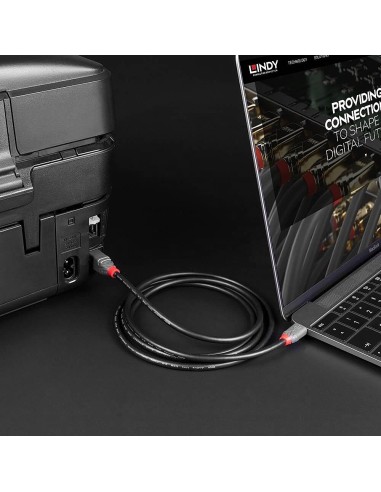 Lindy 36941 cavo USB 1 m USB 2.0 USB C USB B Nero