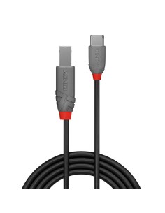 Lindy 36942 cavo USB 2 m USB 2.0 USB C USB B Nero 2