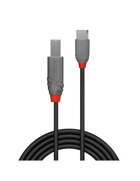 Lindy 36942 cavo USB 2 m USB 2.0 USB C USB B Nero