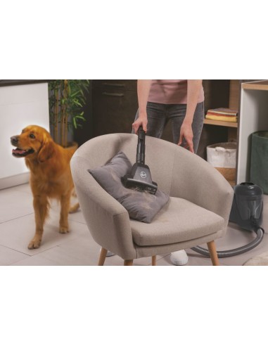 Hoover HP321PAF 011 2 L A cilindro Secco 850 W Senza sacchetto