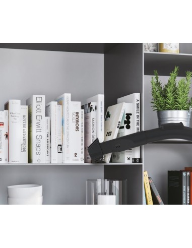 Hoover HP321PAF 011 2 L A cilindro Secco 850 W Senza sacchetto