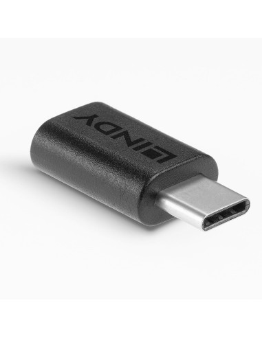 Lindy 41893 adattatore per inversione del genere dei cavi USB 3.2 Type C Nero