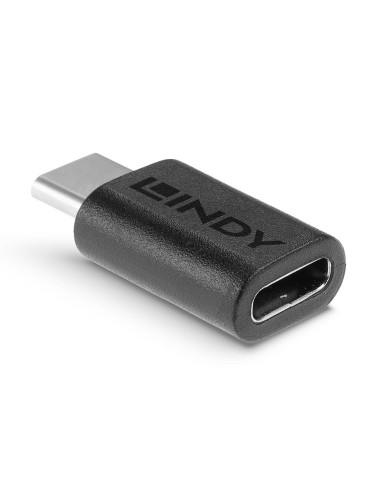 Lindy 41893 adattatore per inversione del genere dei cavi USB 3.2 Type C Nero