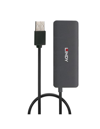 Lindy 42986 hub di interfaccia USB 2.0 480 Mbit s Nero