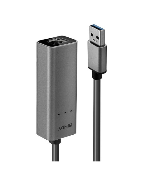 Lindy 43313 adattatore per inversione del genere dei cavi USB-A RJ-45 Argento