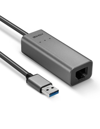 Lindy 43313 adattatore per inversione del genere dei cavi USB-A RJ-45 Argento
