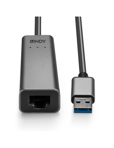 Lindy 43313 adattatore per inversione del genere dei cavi USB-A RJ-45 Argento
