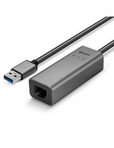 Lindy 43313 adattatore per inversione del genere dei cavi USB-A RJ-45 Argento