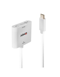 Lindy 43338 cavo e adattatore video 0,1 m USB tipo-C DVI Bianco