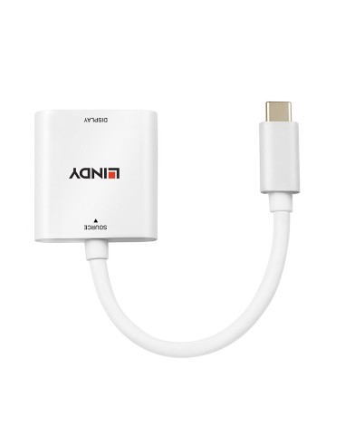 Lindy 43338 cavo e adattatore video 0,1 m USB tipo-C DVI Bianco