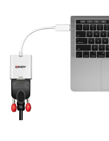 Lindy 43355 cavo e adattatore video USB tipo-C VGA (D-Sub) Bianco