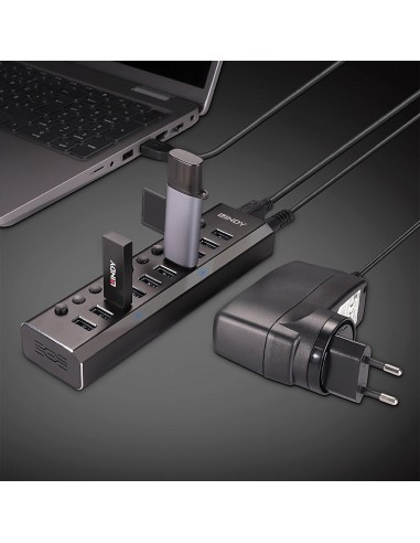 Lindy 10 Port USB 3.0 Hub with On Off Switches USB 3.2 Gen 1 (3.1 Gen 1) Type-B 5000 Mbit s Nero