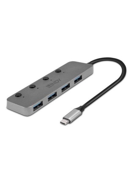 Lindy 43383 hub di interfaccia USB 3.2 Gen 1 (3.1 Gen 1) Type-C 5000 Mbit s Grigio