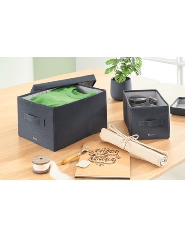 Leitz 61440089 scatola di conservazione Armadietto portaoggetti Rettangolare Tessuto Blu