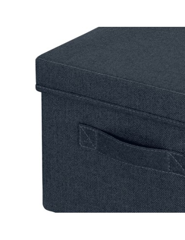 Leitz 61440089 scatola di conservazione Armadietto portaoggetti Rettangolare Tessuto Blu