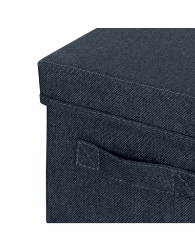 Leitz 61460089 scatola di conservazione Armadietto portaoggetti Rettangolare Tessuto Blu