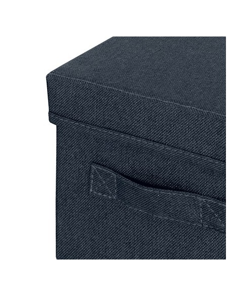 Leitz 61460089 scatola di conservazione Armadietto portaoggetti Rettangolare Tessuto Blu