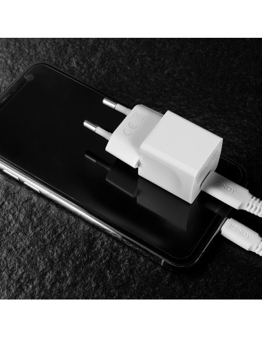 Lindy 73410 Caricabatterie per dispositivi mobili Smartphone Bianco AC Interno