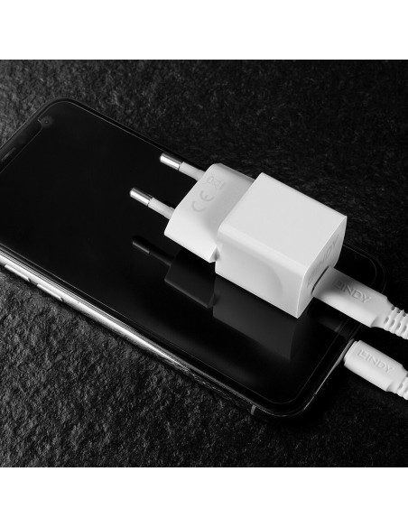 Lindy 73410 Caricabatterie per dispositivi mobili Smartphone Bianco AC Interno