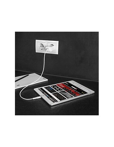 Lindy 73412 Caricabatterie per dispositivi mobili Smartphone, Tablet Bianco AC Ricarica rapida Interno, Esterno