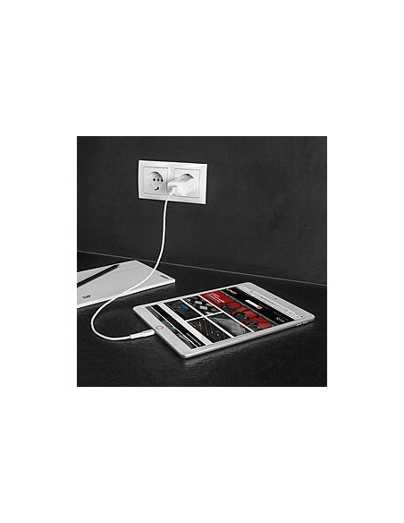 Lindy 73412 Caricabatterie per dispositivi mobili Smartphone, Tablet Bianco AC Ricarica rapida Interno, Esterno