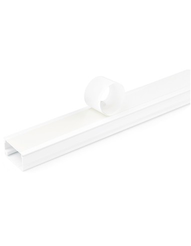 StarTech.com Canalina per la gestione dei cavi solida con nastro adesivo e coperchio, 29 mm P x 20mm H - 1,8m L , canaletta in