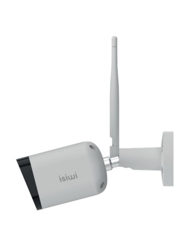 Isiwi ISW-BFES4M Capocorda Telecamera di sicurezza IP Interno e esterno Parete